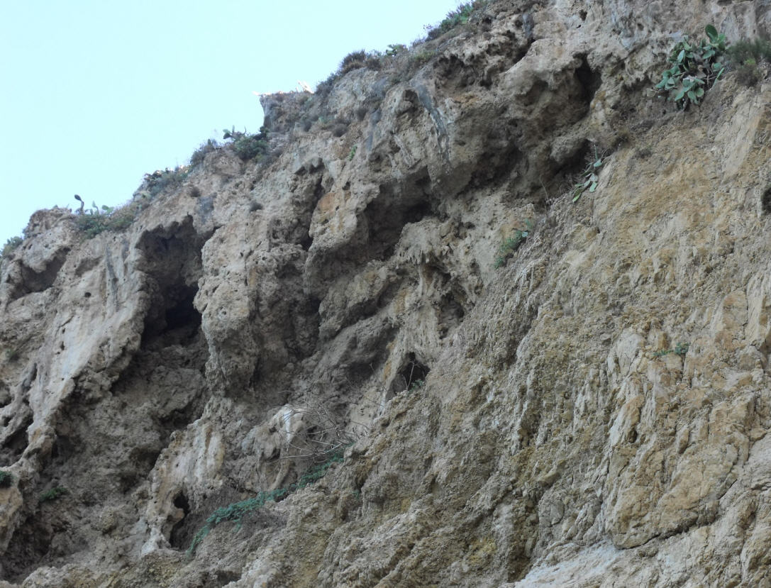Minerale o fossile